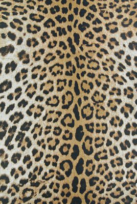 Couristan Dolce Amur Leopard New Gold