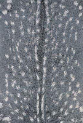 Couristan Dolce Hyena Denim-silver