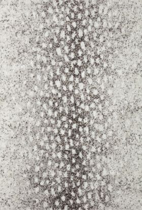 Loloi Bliss Shag BLS-01 Grey / White