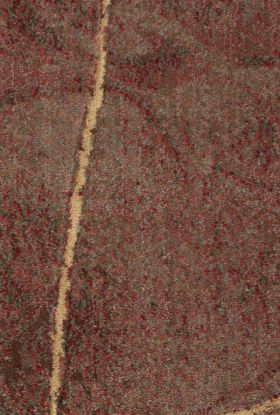 Nourison Home SOMERSET Multicolor