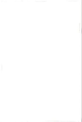 Nourison Home Rio Vista Ivory/Green 4' x 6'6"