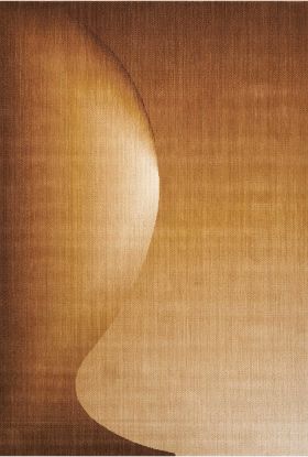 Nourison Home Radiant Arts Amber 9'6" x 13'6"