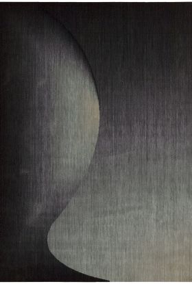 Nourison Home Radiant Arts Onyx 2'3" x 4'