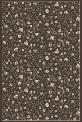 Radici USA Pisa 6674 Brown