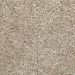 Certified Sensuous, French Terry Carpet