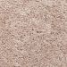Shaw Style 32, Prairie Dust Carpet