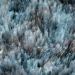 Dalyn Cabot Ct1 Teal 5'0" x 7'6" Room Scene