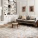 Loloi II Alchemy ALC-02 GRANITE / GOLD Room Scene