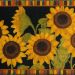 Mohawk Prismatic Sunflower Garden Black Collection
