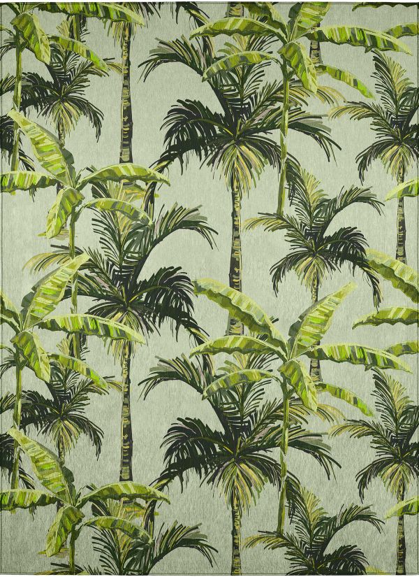 Dalyn Rugs Tropics TC10 Aloe Collection