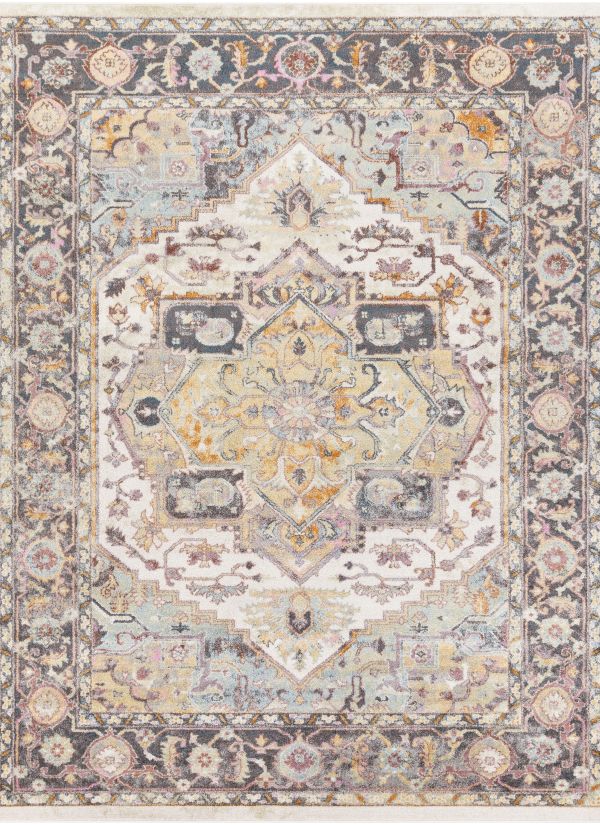 Surya New Mexico Nwm-2304 Collection