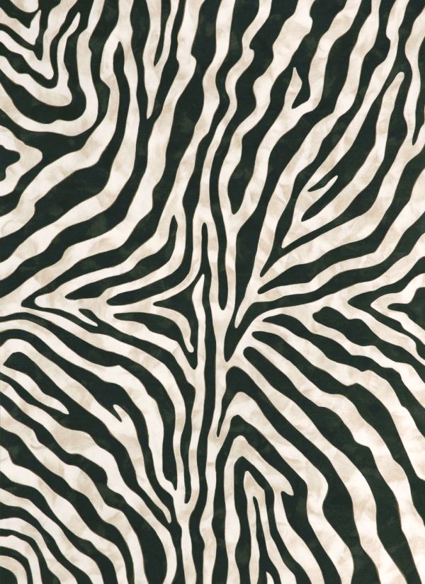 Liora Manne Visions I Zebra Black Collection