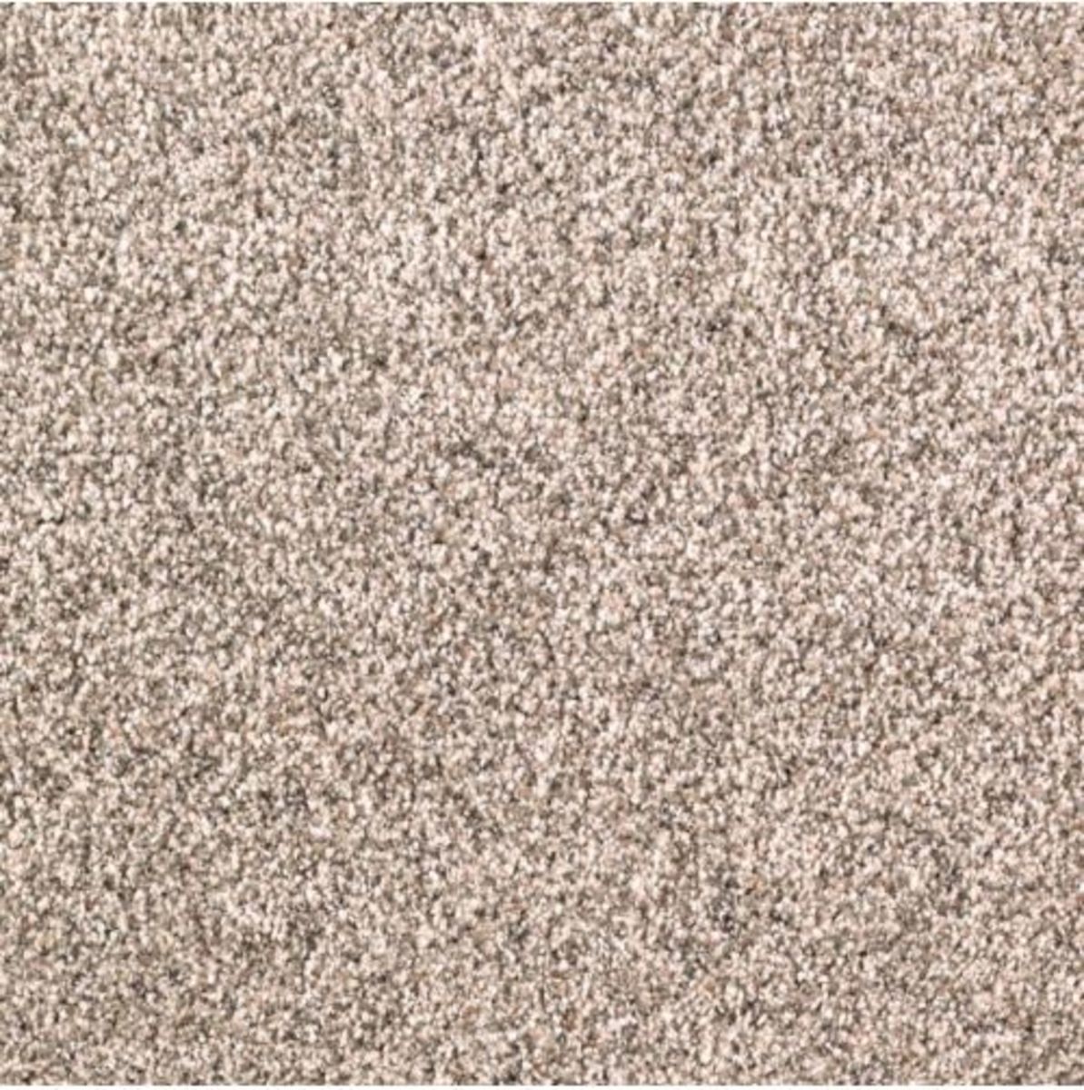 Top Card Oat Straw Carpet Samples Mohawk Flooring Textured Carpet