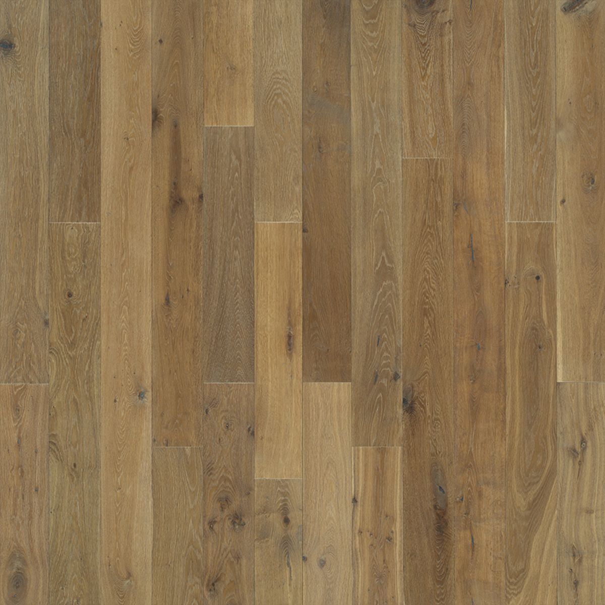 Portico Dado Laminate Flooring Flooring Laminate Flooring Laminate