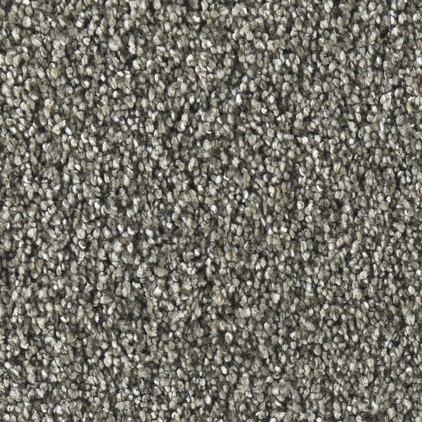 Carpet Phenix Griffith Park Fleet Gray Flooring Liquidators