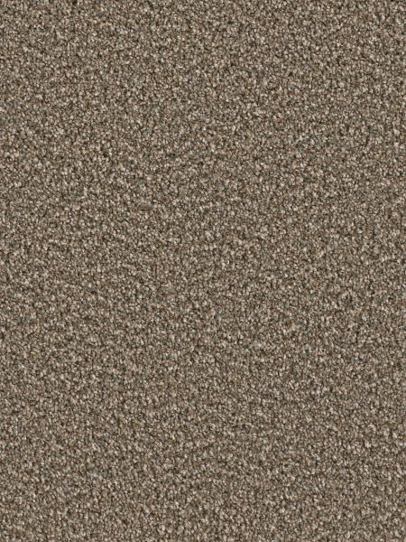 Carpet Dreamweaver Jackson Hole I Alpine Bay Flooring Liquidators