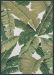 Couristan Dolce Palm Lily Huntr Green/Ivory Collection