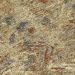 Addison Rugs Chantille Brown 1'8" x 2'6" Room Scene