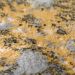 Dalyn Rugs Cascina CC9 Fossil Room Scene