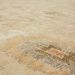 Karastan Rugs Cabrillo Iberia Light Silver 6'0" x 9'0" Room Scene