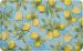 Mohawk Dri-pro Cushion Mat Lemons All Over Slice Multi 1'6" x 2'6" Collection