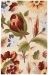 Nourison Home Fantasy Ivory 2'6" x 4' Collection