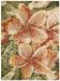 Nourison Home Impressionist Spring 5'6" x 7'6" Collection