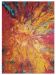 Nourison Home Celestial Cayenne 3'11" x 5'11" Collection