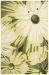 Nourison Home Fantasy Herb 2'6" x 4' Collection