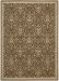 Nourison Home Riviera Chocolate 5'3" x 7'5" Collection
