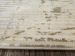 Radici USA Davide 1230 Beige Room Scene