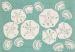 Liora Manne Frontporch Shell Toss Aqua Collection