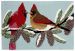 Liora Manne Frontporch Cardinals Sky Collection