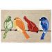 Liora Manne Frontporch Birds Neutral Collection