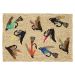 Liora Manne Frontporch Bright Flies Multi Collection