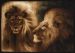 United Weavers Legends Lion Profile Multi 5'3" x 7'2" Collection