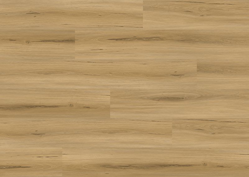 maple