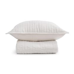 Bari - 2 Piece Velvet Twin Quilt Set - Cloud