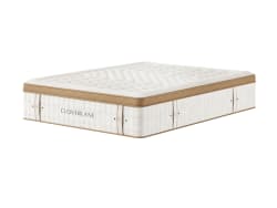 Cloverlane Hybrid Medium - White - California King Mattress