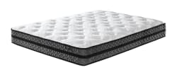 10 Inch Pocketed Hybrid - White - Queen Mattress