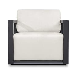 Remsen - Outdoor Lounge Chair - Black / Oyster