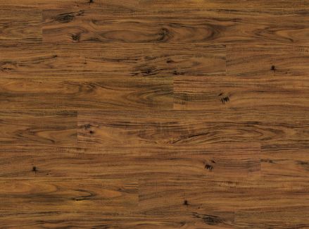 COREtec One Alice Springs Acacia
