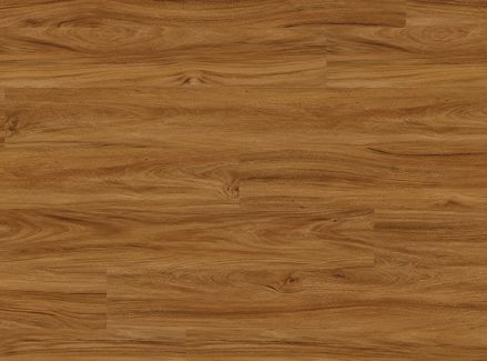 COREtec One Adelaide Walnut