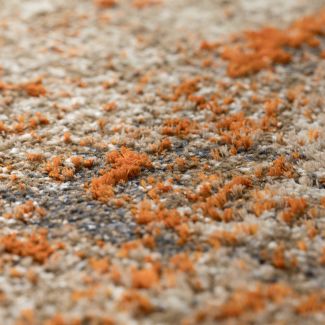 Dalyn Antiquity Aq1 Ivory / Tangerine