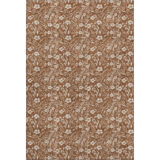 Dalyn Rugs Soft Essentials SE4 Paprika