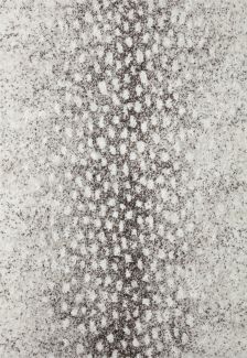 Loloi Bliss Shag BLS-01 Grey / White