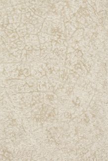 Loloi Juneau JY-03 ANT IVORY / BEIGE