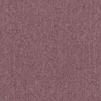 Mohawk Panasonic Plum