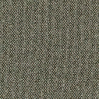Mohawk Classic Check Earthy Green