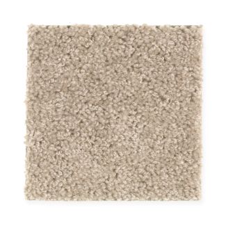 Mohawk Donovan Pass Dark Stucco